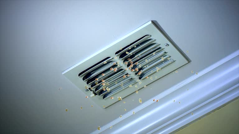 Best Air Duct Cleaning Near Me  in Midland City, AL