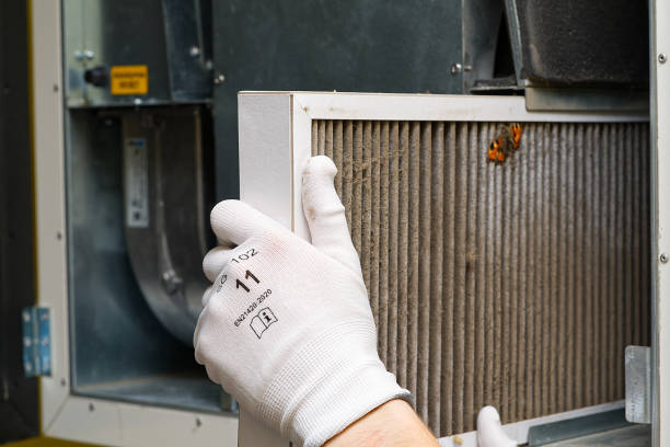 Best Air Quality Test  in Midland City, AL